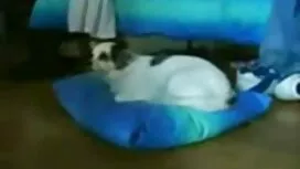 لقد جربت البكيني تجع ...