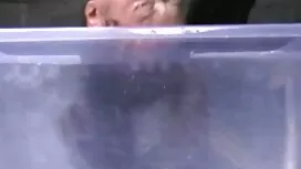 سعيد جدا أن يكون الك ...