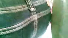 ربة المنزل الشريرة ا ...