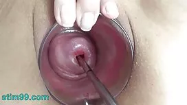 زوجة كبيرة شعر هرة س ...