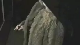 (إيفا لوفيا) من أجل  ...