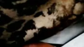 هناك جارة ممثلة إباح ...