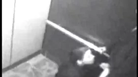 فمه ضغط على قضيبي اف ...