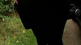 أطلب فلم سكسي مترجم  ...