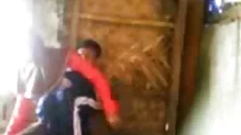 لاتيني ممتاز في افلا ...